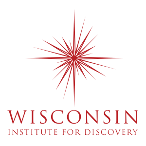 the words Wisconsin Institute for Discovery At the University of Wisconsin-Madison